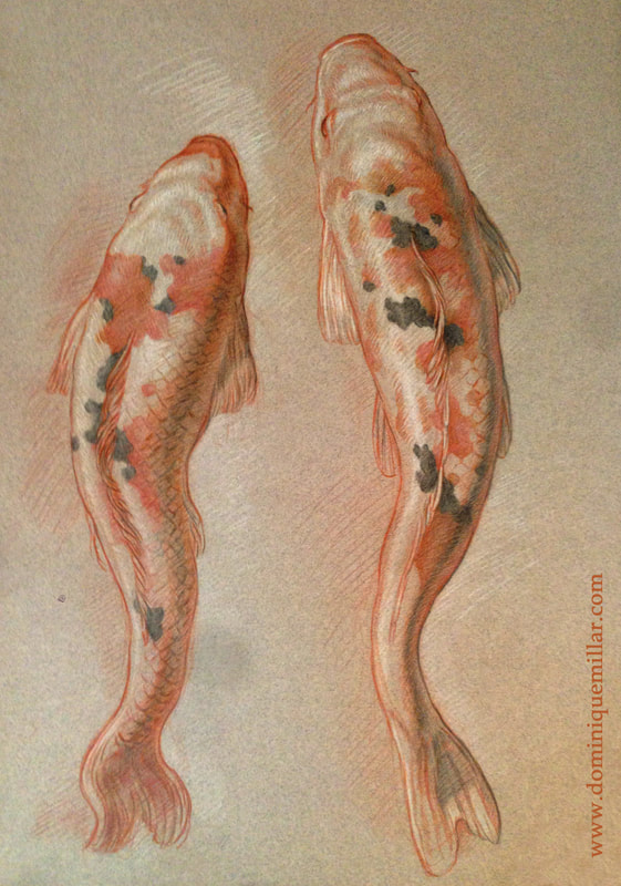 Dominique Millar, Carp, Red and Black Chalk on Buff Paper